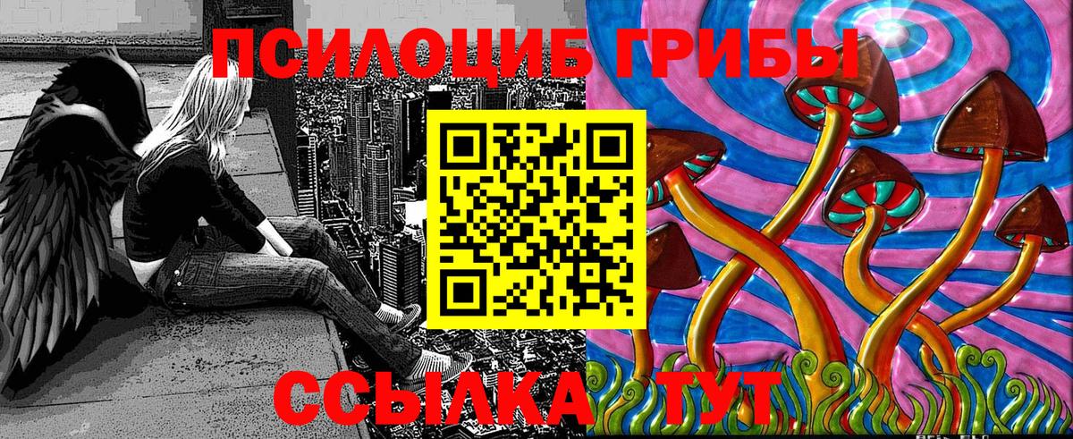 Тамбов  Галлюциногенные грибы мухоморы  Вход с VPN 